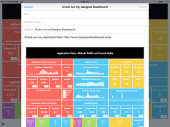 Dashboard Share Options - iPad Mini