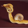 Dragon Snail : First Sight