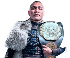 Hijo del Vikingo Megachampion Render