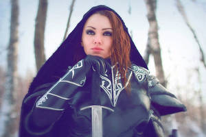 Skyrim.Imperial in ebony armor_4