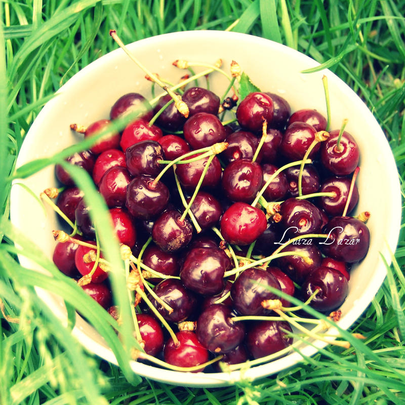 les cerises