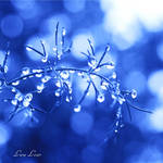 rain wash me by LuizaLazar