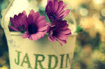 Jardin by LuizaLazar
