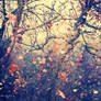 ethereal autumn