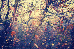 ethereal autumn by LuizaLazar ethereal autumn by LuizaLazar