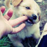 Give me yor fingers