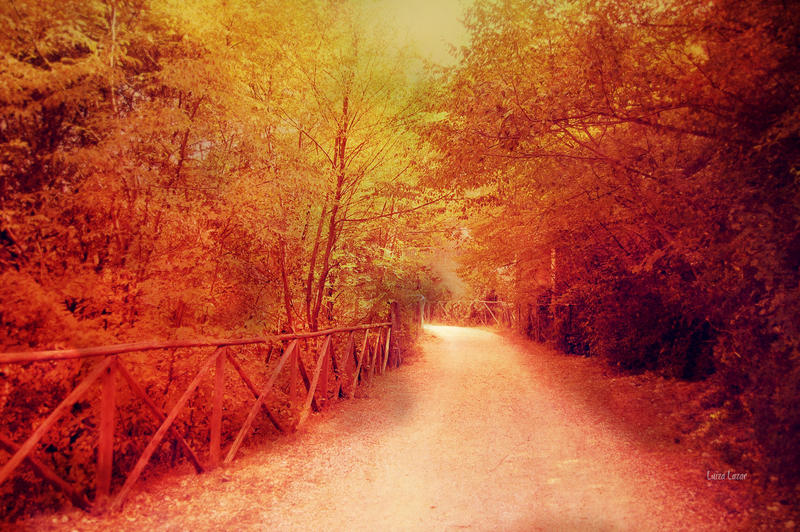 Road to Autumn