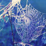 dreamcatcher