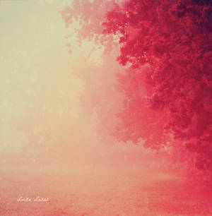Conte d'Automne by LuizaLazar Conte d'Automne by LuizaLazar