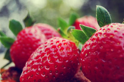 Strawberry