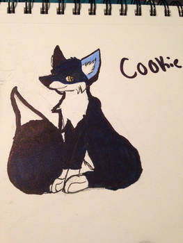 COOKIE THE FOX