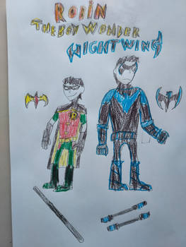 DC: Robin/Nightwing.