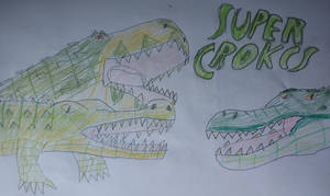 SUPER CROCS.