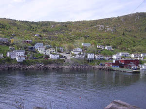 Petty Harbour #1