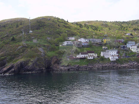 Petty Harbour #2