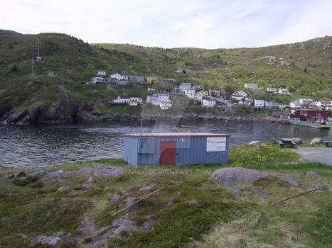 Petty Harbour #3