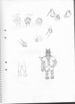 Wolf Sketches 3