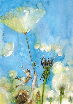 Dandelions