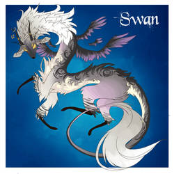 Swan