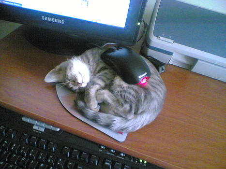 furry mousepad