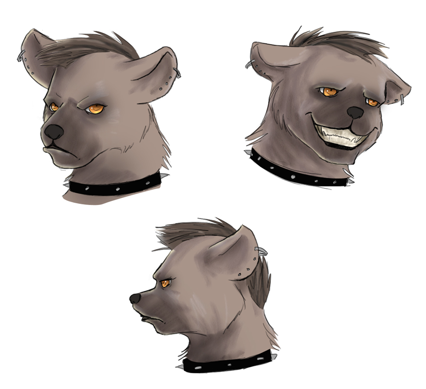 Faces of a Hyena