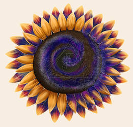 Cosmic Sunflower