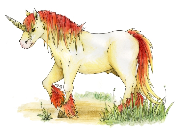 Rapidash