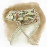 Dragon Harness+