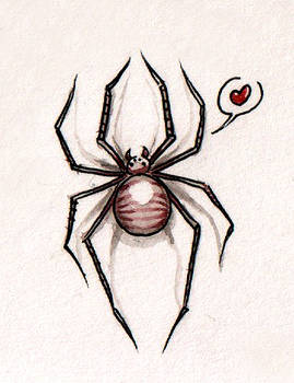 Love Spider