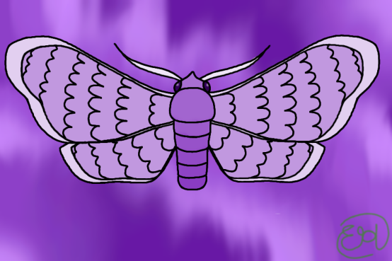 Puple Moth Moth With a Purple Background by VenusDawnstar on DeviantArt