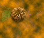 Plant This Seed, Let it Grow by creativemikey