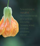 Red Orange Gold Red by creativemikey