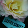 Easter Basket