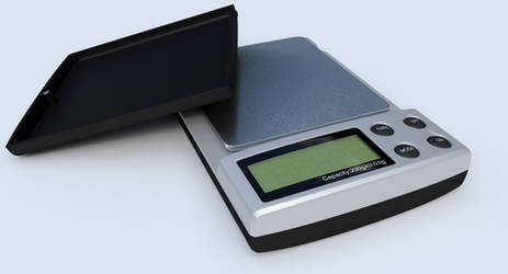 Digital scale