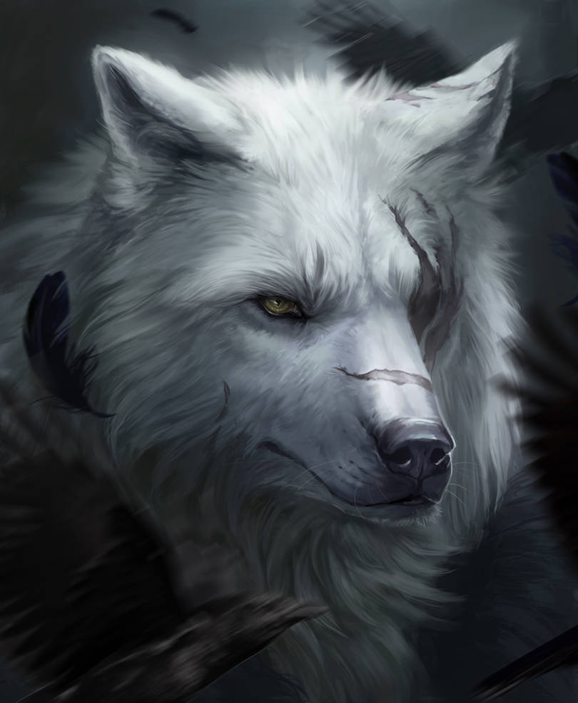 White King by Muns11 on DeviantArt