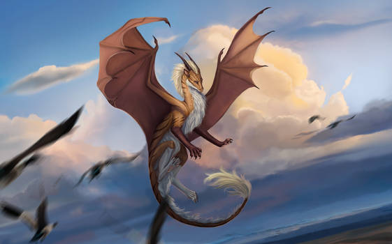 Flight