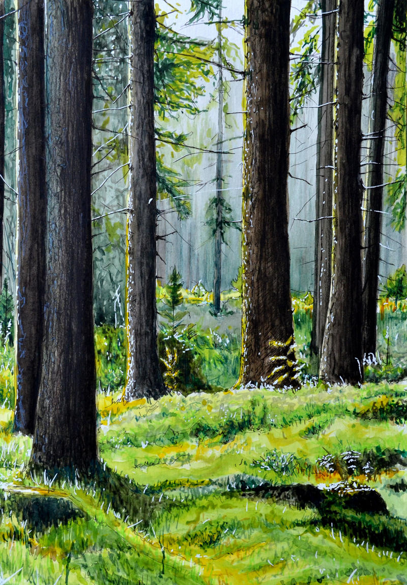 Swedish Forest- Watercolor