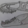 Gorgosaurus skull