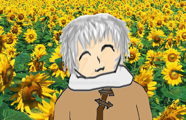 Ivan and sunflowers