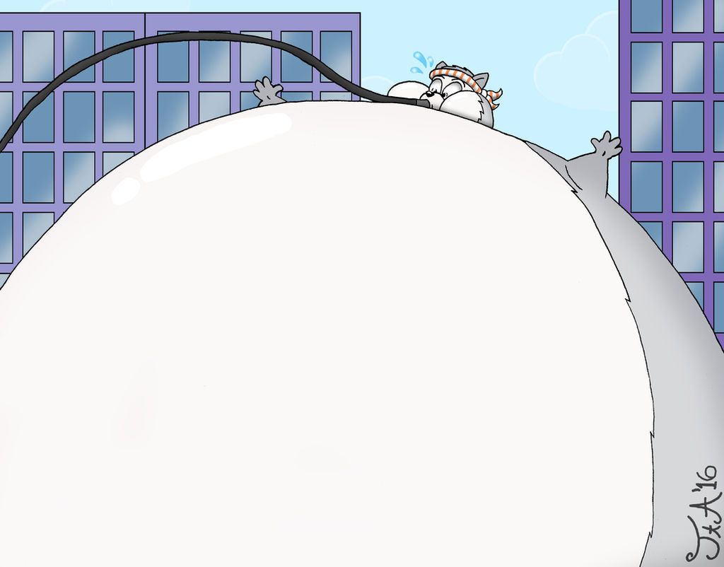 Rarely Inflated: Zipper Cat by ToferTheAkita on DeviantArt