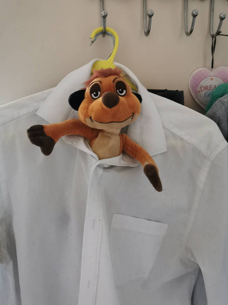 Time for Timon to work! by darthtimon on DeviantArt