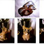 ceramics animals cat and pig