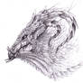 Dragon Headshot