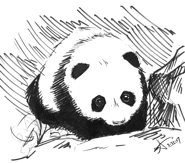 panda pooh