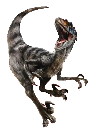 Rebirth Raptor No Background Velociraptor Jurassic world Rebirth Render by BURNGOJI on DeviantArt
