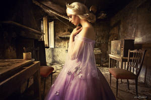 Cinderella's tale by kbrake