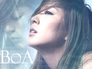 BoA wallpaper