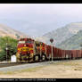 Warbonnet at Caliente