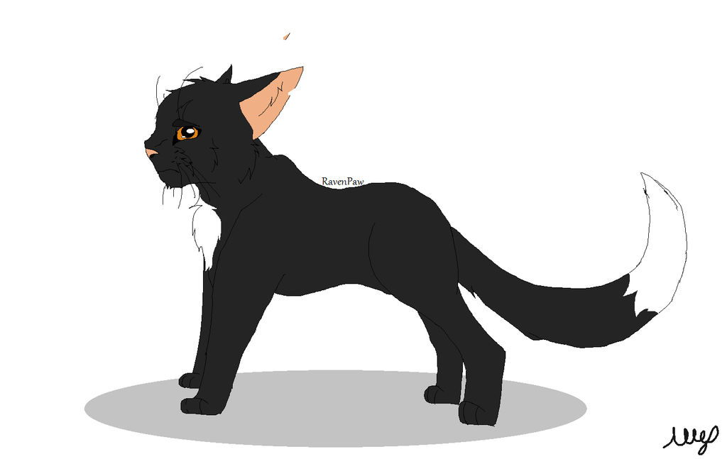 Warrior cats RavenPaw by AllePowerReal on DeviantArt