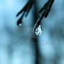 Dew drop